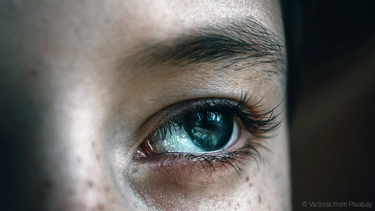 Sechs Mythen und Fakten zum Thema Augengesundheit