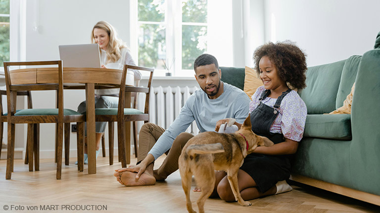 Familienzuwachs auf vier Pfoten – Was solltest du beachten?